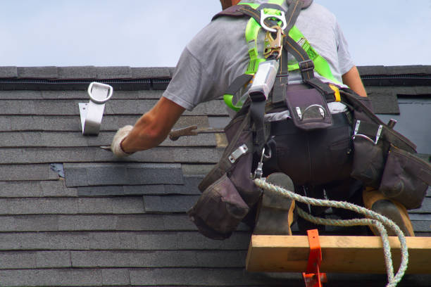 Best Chimney Flashing Repair  in Plummer, ID