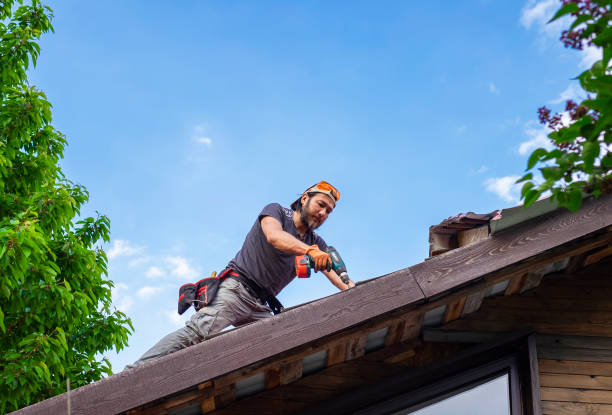 Best Metal Roofing Installation  in Plummer, ID