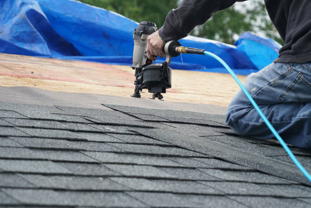 Best Roof Moss and Algae Removal  in Plummer, ID