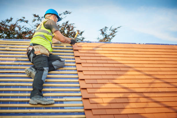Best Sheet Metal Roofing  in Plummer, ID